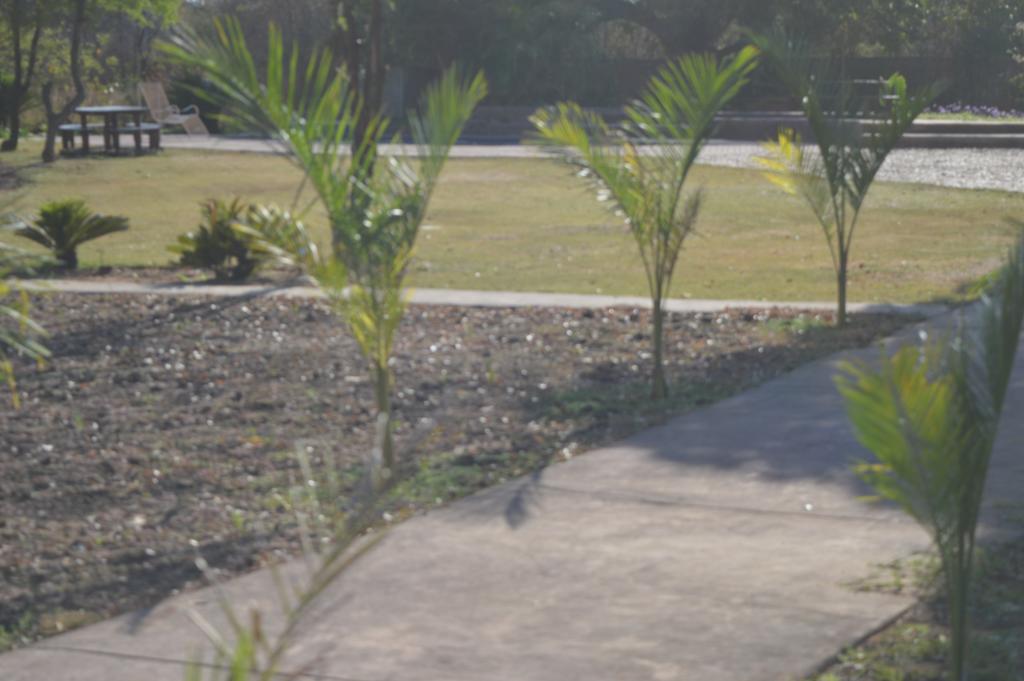 Copacopa Lodge And Conference Centre Punda Maria Exterior photo